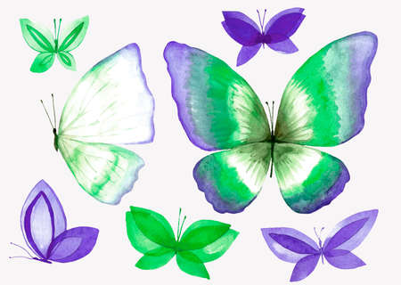 A collection of watercolor butterfly illustrations. Isolated image of an animal on a white background. Handmade drawing.の写真素材