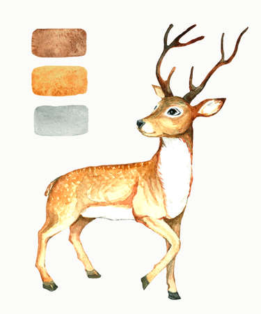Christmas deer. Watercolor illustration handmade. Paint Brush Collectionの写真素材