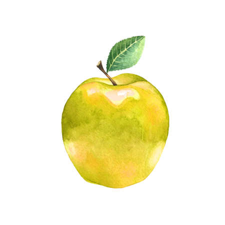 Watercolor yellow apple with leaf. Illustration of a sweet fruit on a white background. Isolated drawing.の写真素材