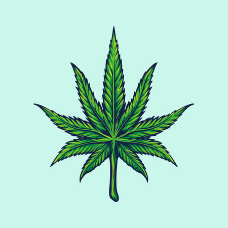 Weed Leaf, Marijuana Illustrations for your work Logo merchandise clothing line, stickers and poster elementsのイラスト素材