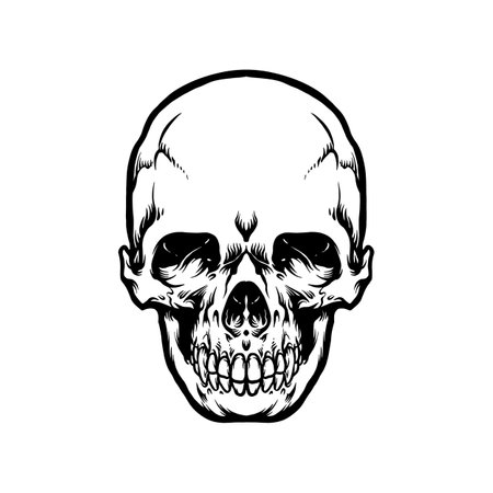 Head Skull Anatomy Silhouette Vector illustrations for your work Logo, mascot merchandise t-shirt, stickers and Label designs, poster, greeting cards advertising business company or brands.のイラスト素材