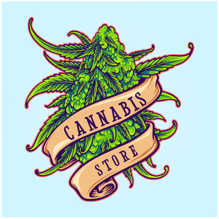 Cannabis store weed leaf plant with classic ribbon scroll illustrations vector illustrations for your work logo, merchandise t-shirt, stickers and label designs, poster, greeting cards advertising business company or brandsのイラスト素材