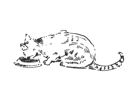 Vector illustration concept of Cat hand drown illustrationのイラスト素材