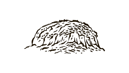 North Carolinas Pilot Mountain State hand drawn illustration on white backgroundのイラスト素材