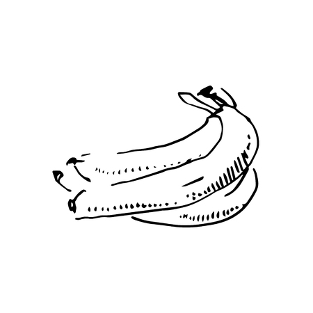 Vector hand drawn black sketch of banana on white backgroundのイラスト素材