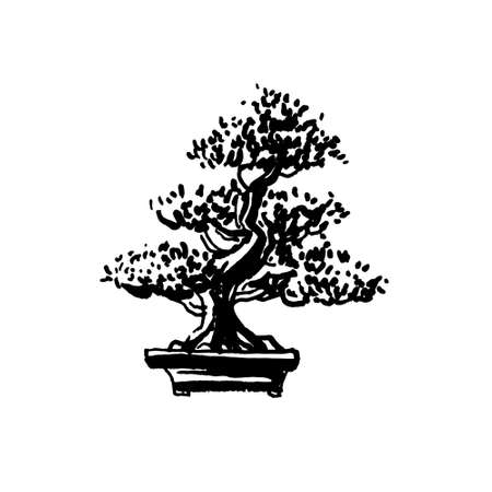 Japanese old bonsai tree in pot hand drawnのイラスト素材