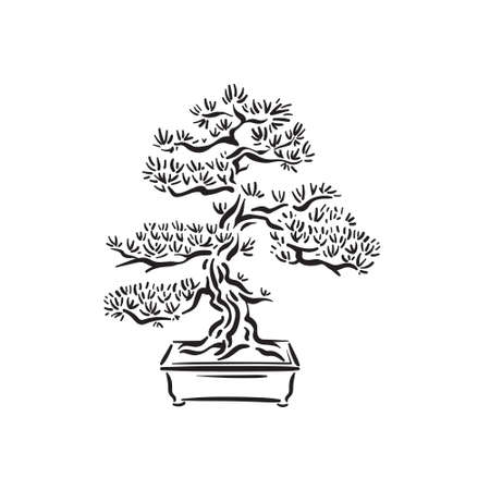 Japanese old bonsai tree in potのイラスト素材