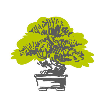 Japanese old bonsai tree in pot hand drawnのイラスト素材