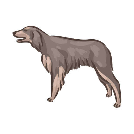 Cute dog Gordon Setter breed pedigree vector illustrationのイラスト素材