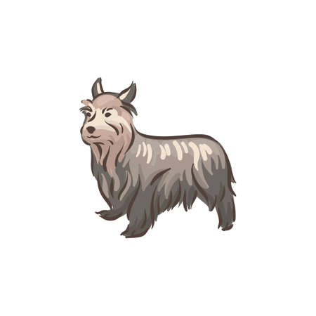 Cute dog Yorkshire Terrier breed pedigree vector illustrationのイラスト素材