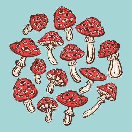 Amanita muscaria poison toxic mushroom illustration