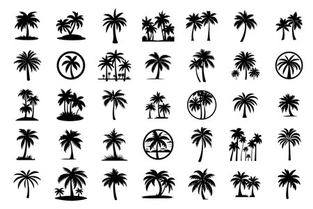 Palm tree silhouette icon illustration set black on white backgroundのイラスト素材