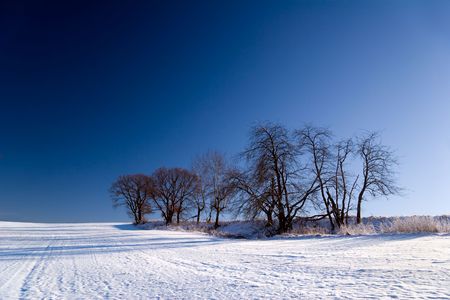 winter landscape with trees and blue skyの写真素材