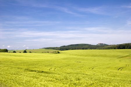 Landscape Thuringia with cultivation of grainの写真素材
