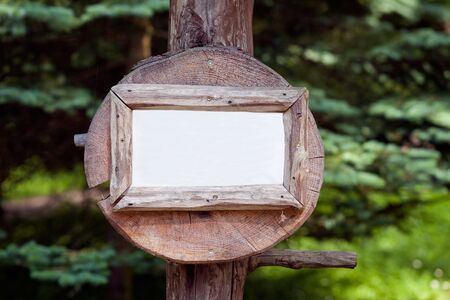 a white plate made of tree trunks - suitable for describingの写真素材