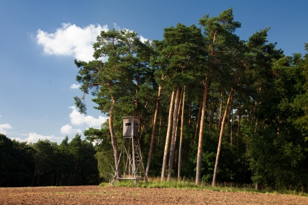 Hunters stand in the hunting area at the forest edgeの写真素材