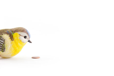 one tit and one cent coin against white backgroundの写真素材