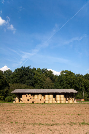 The storage of hay bale in agricultureの写真素材