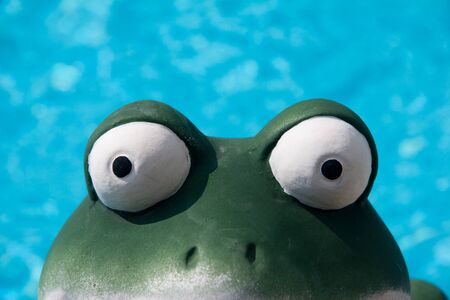 Frog eye View