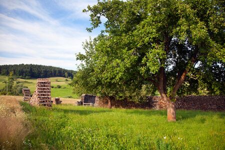mountainous landscape in summer Hummelshain Thuringia Germanyの写真素材