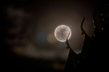 moon on background with thailand templeの写真素材