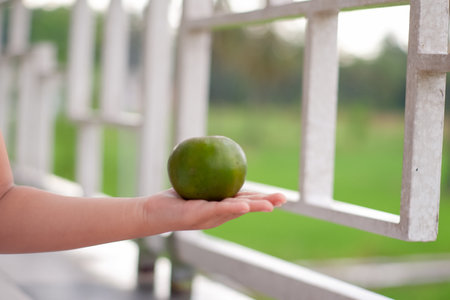 hand of little girl holding tangerine