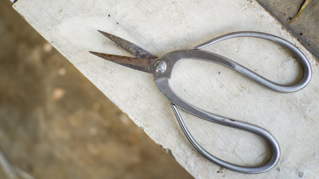 A rusty silver scissor on a white wallの写真素材
