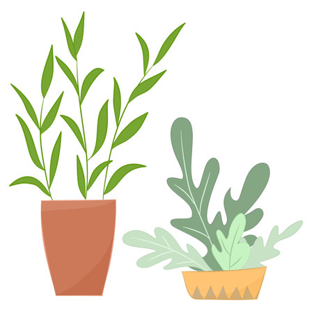 Indoor Plant and Green Foliage Growing in Ceramic Pot Vector Setのイラスト素材
