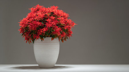 A striking display of a red flowering plant in a stylish white pot, enhancing modern indoor spaces with a touch of nature's beauty and elegance.の素材