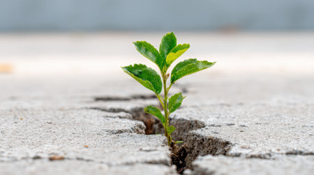 A vibrant green plant emerges from cracks in concrete, symbolizing resilience and hope amid urban landscapes. This powerful image captures nature's tenacity and ability to thrive in challenging environments.の素材