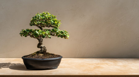 A beautifully crafted bonsai tree sits gracefully in a sleek pot, showcasing intricate details of its twisted trunk and vibrant leaves under soft natural light.の素材
