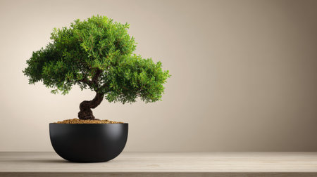 This image features a beautiful bonsai tree displayed in a sleek black pot, perfect for interior decoration and evoking a sense of tranquility and harmony.の素材