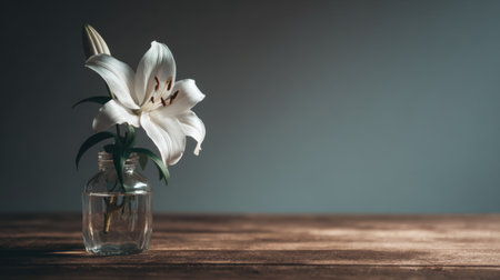 A beautiful white lily placed in a clear glass vase, sitting on a rustic wooden table. The soft focus background adds an artistic touch, enhancing the sense of elegance and tranquility.の素材