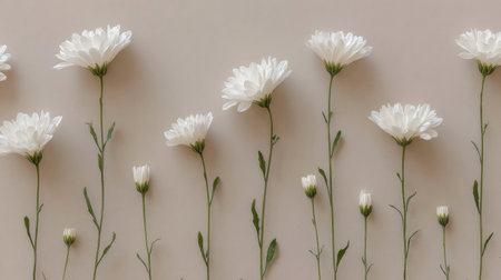 A stunning display of elegant white flowers arranged in a row against a soft background, perfect for adding a touch of nature to any design or decor.の素材