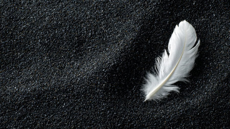 A delicate white feather delicately rests on a bed of fine black sand, creating a striking contrast that highlights nature's beauty and simplicity.の素材