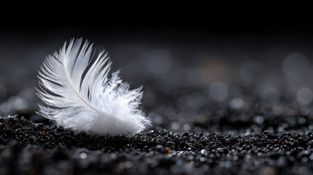 A single delicate white feather rests on a dark sandy surface, creating a captivating contrast. This image captures the beauty and fragility of nature.の素材