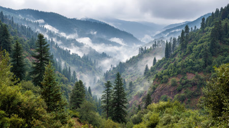 A breathtaking view of serene mountains enveloped in mist, showcasing lush forests and rolling hills under a dramatic cloudy sky, perfect for nature lovers.の素材