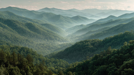 A breathtaking view of rolling green mountains at dawn, with mist softly enveloping the valleys, capturing the tranquility of the Southern Appalachian wilderness.の素材