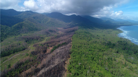 This aerial image captures the stark contrast between deforested land and vibrant forest regrowth along a coastal region, framed by mountains.の素材