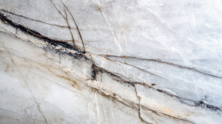 This stunning marble surface features intricate veins and delicate patterns, offering a unique and natural aesthetic ideal for various design projects.の素材