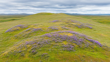 A scenic view showcasing lush green hills adorned with vibrant purple wildflowers under a cloudy sky, capturing the essence of natural beauty.の素材