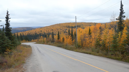 A picturesque road winds through a beautiful autumn landscape, showcasing vibrant golden leaves and serene surroundings in a tranquil rural setting.の素材