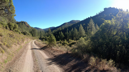 A tranquil dirt road meanders through lush green forests and rocky mountains under a bright blue sky, inviting outdoor exploration and serene experiences.の素材