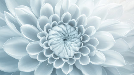 A stunning close-up view of a white flower, capturing its intricate petal details in soft natural light, evoking feelings of calm and serenity.の素材