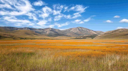 A breathtaking view of rolling hills adorned with vibrant wildflowers under a bright blue sky. This stunning landscape captures the essence of nature's beauty and tranquility.の素材