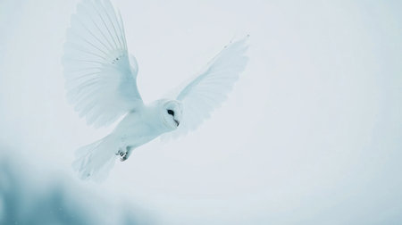 A stunning snowy owl soars gracefully through a tranquil winter landscape, showcasing its magnificent white feathers against a serene snow backdrop.の素材