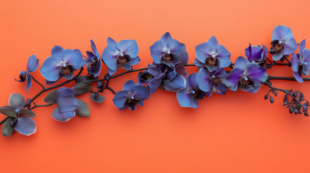 This stunning image features a cohesive arrangement of blue orchids against a bright orange background, creating a striking visual contrast. Perfect for design use.の素材
