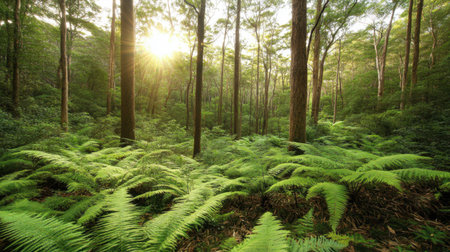 A peaceful forest scene featuring lush green ferns thriving under tall trees, with gentle sunlight filtering through the foliage, capturing the beauty of nature.の素材