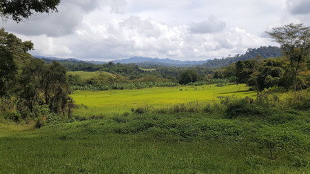 A picturesque view of a lush green rice field, bordered by vibrant vegetation and set against a backdrop of rolling mountains under a dramatic cloudy sky.の素材