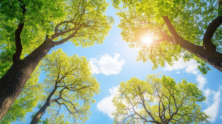 A stunning view of vibrant green leaves stretching towards a clear blue sky. Sunlight filters through the lush foliage, creating a serene atmosphere perfect for relaxing in nature.の素材